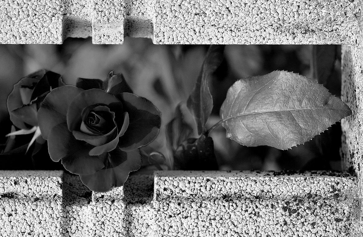 nouvelles couleurs urbain.............