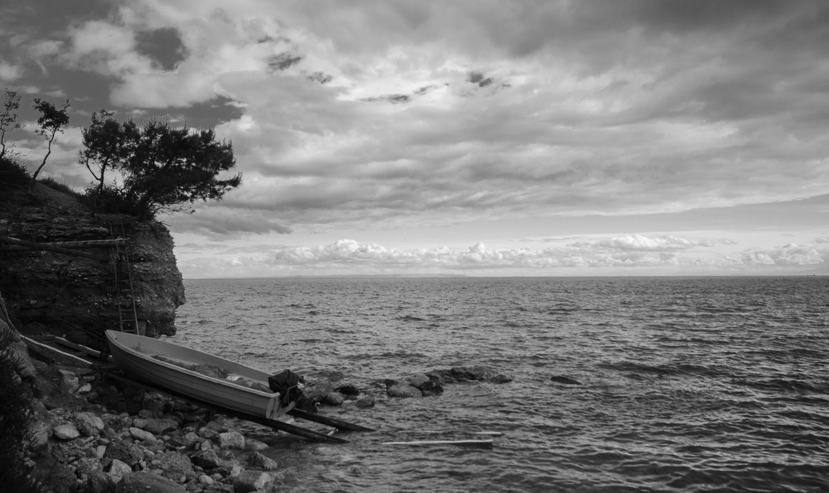 B & W Chiancamasitto