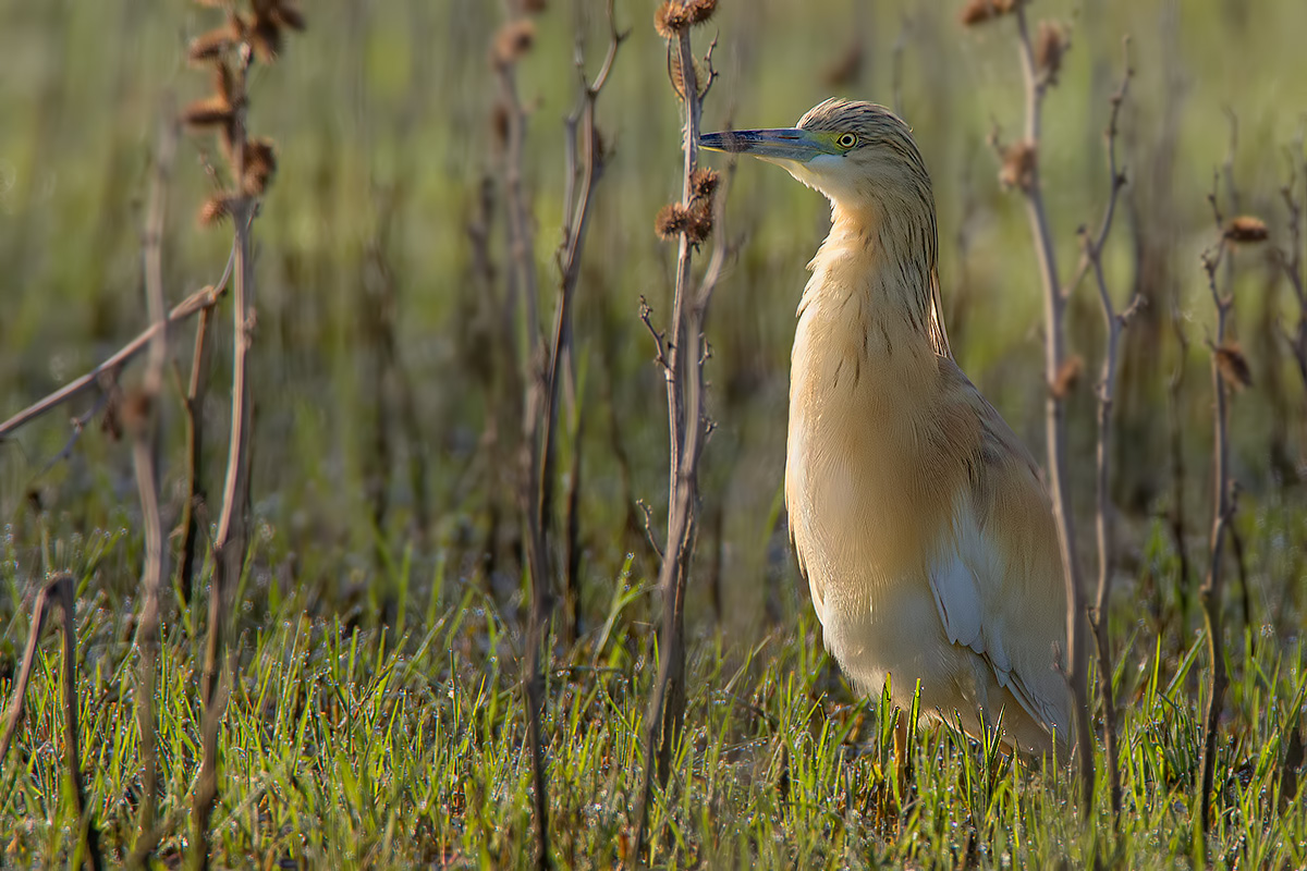 Lit in the morning ....