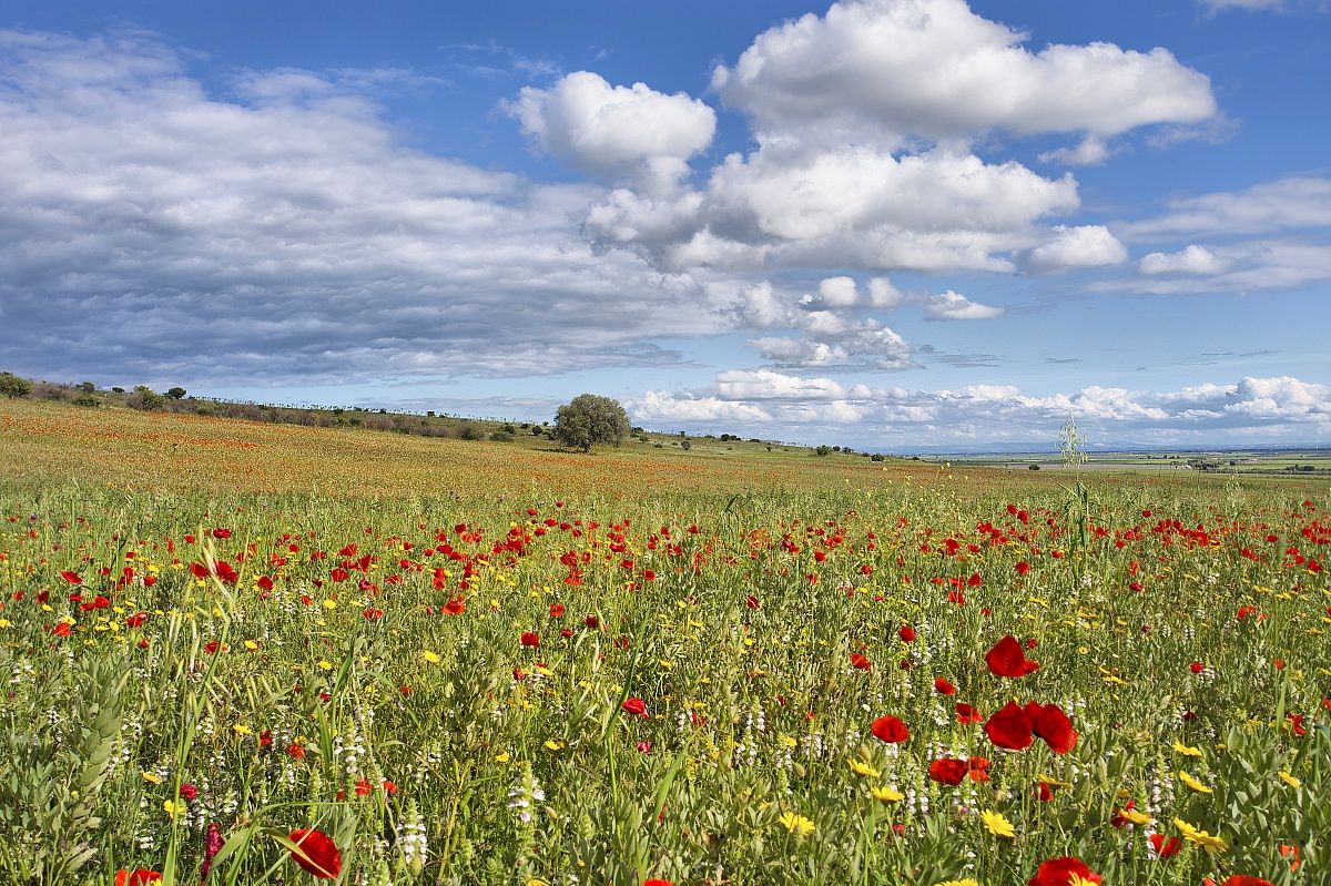San Giovanni Rotondo