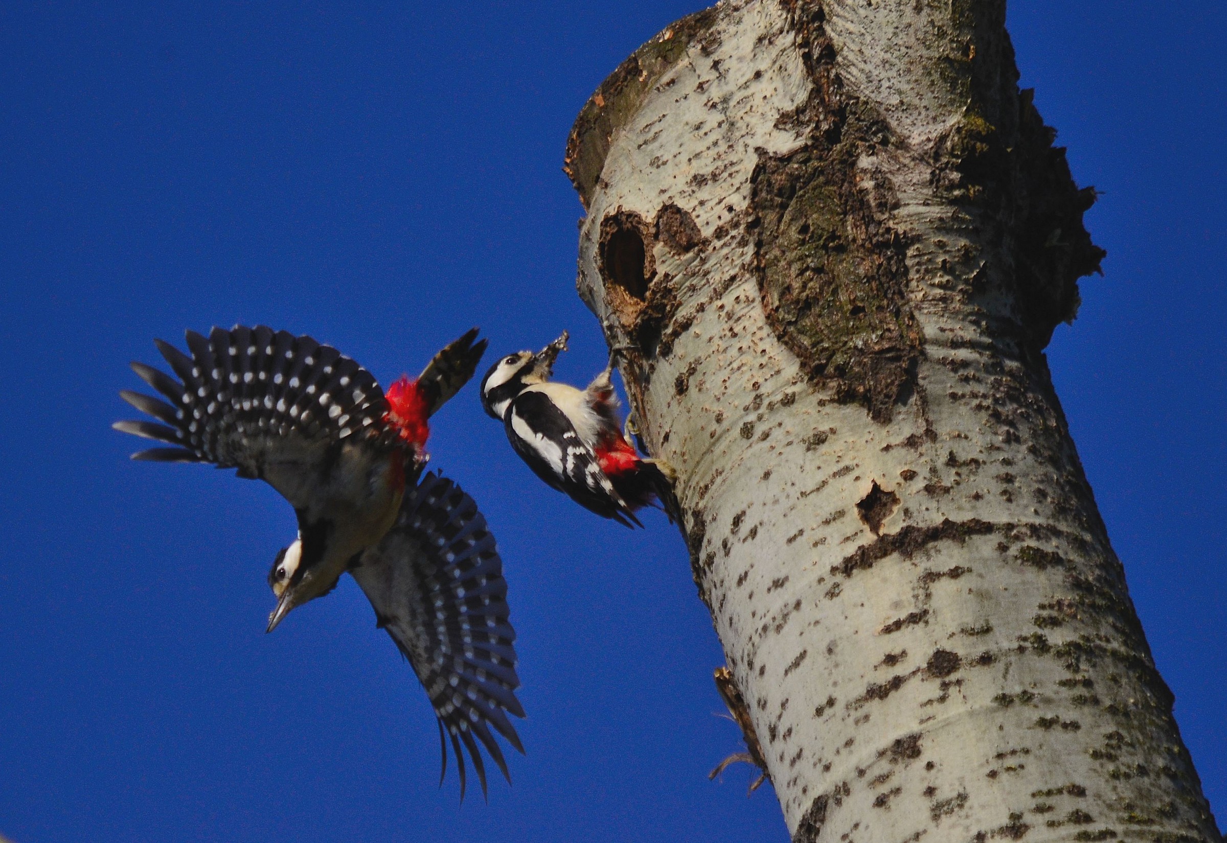 But how much you eat!!