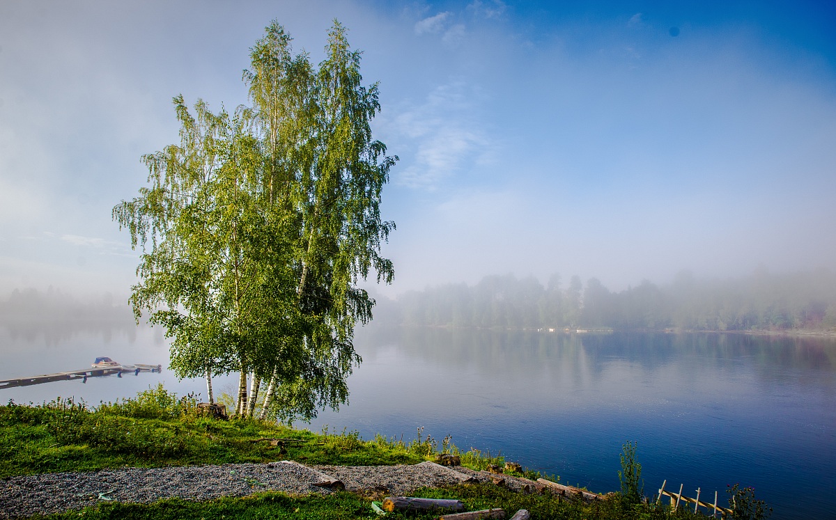 In the fog, behind the house