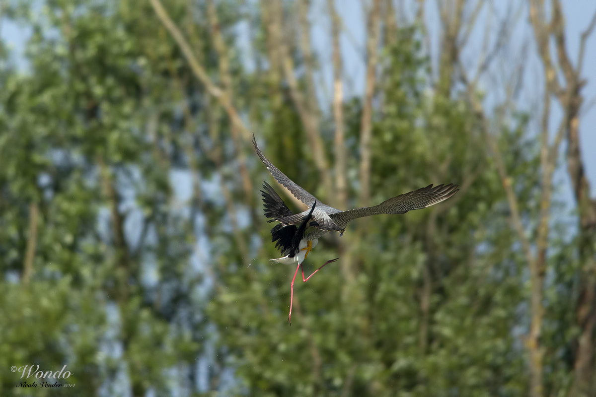 the end of the knight ...... 10