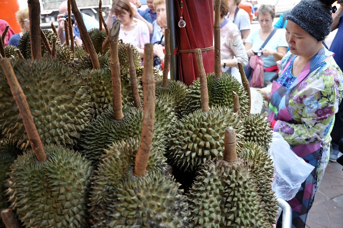 Durian (fruit)