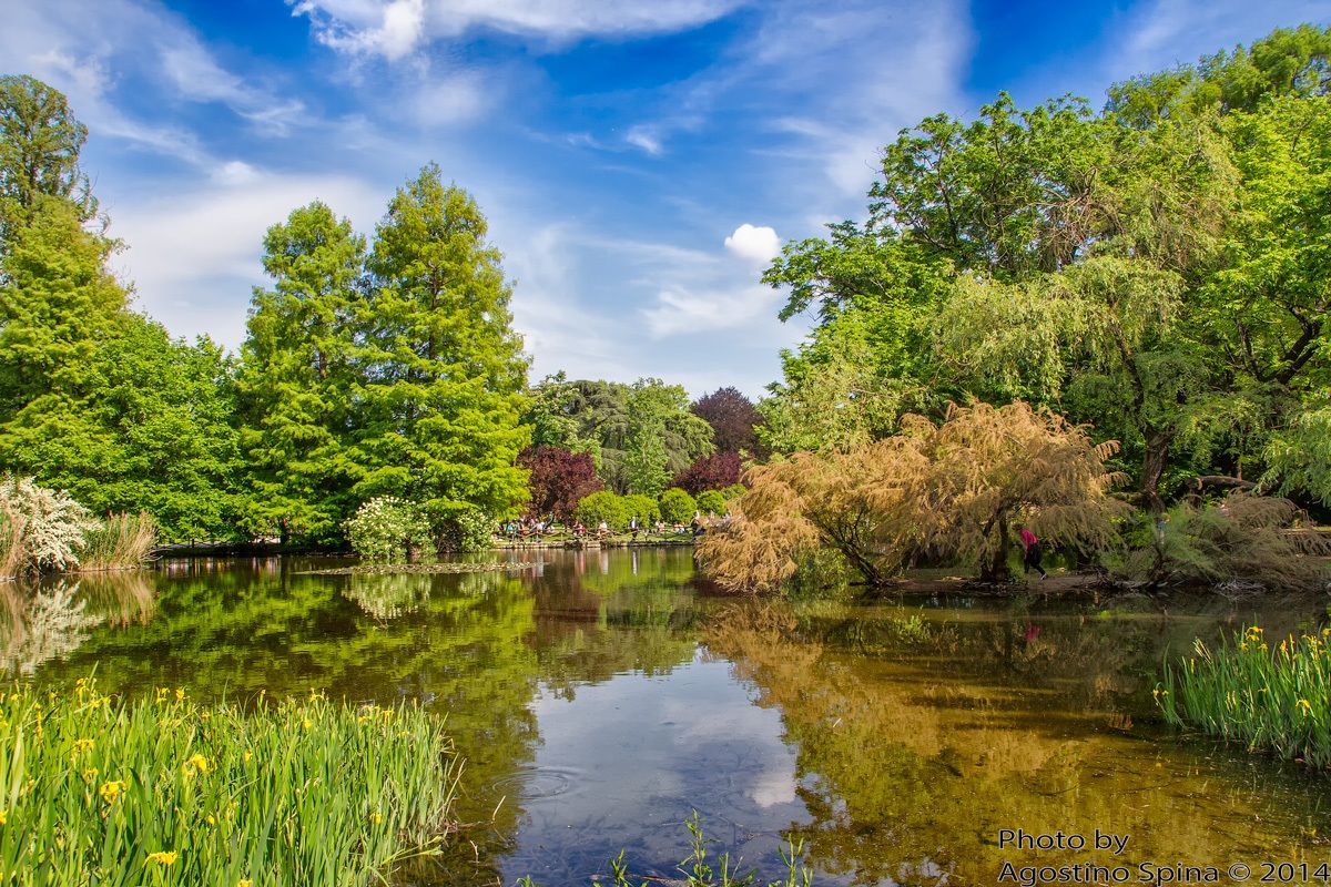 the pond park sempione MI