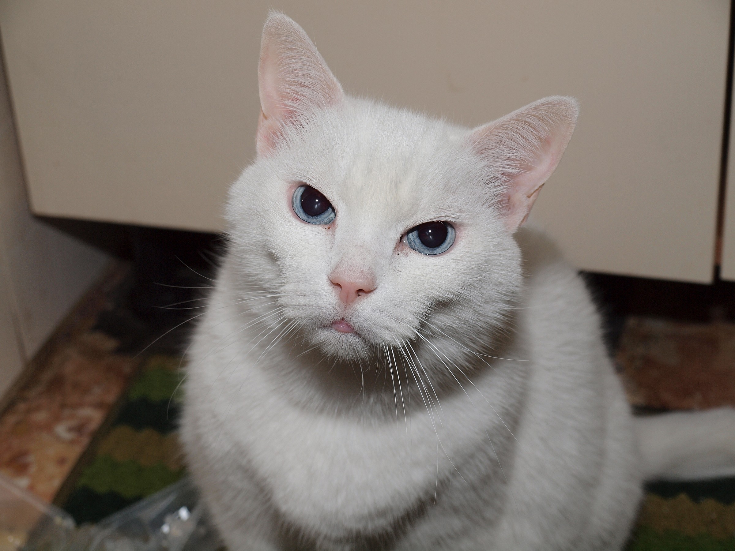 'One does get angry but ....