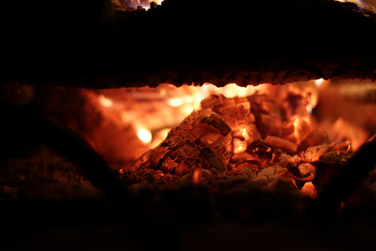 Che Caaaaaaldooooooo |||||||||||