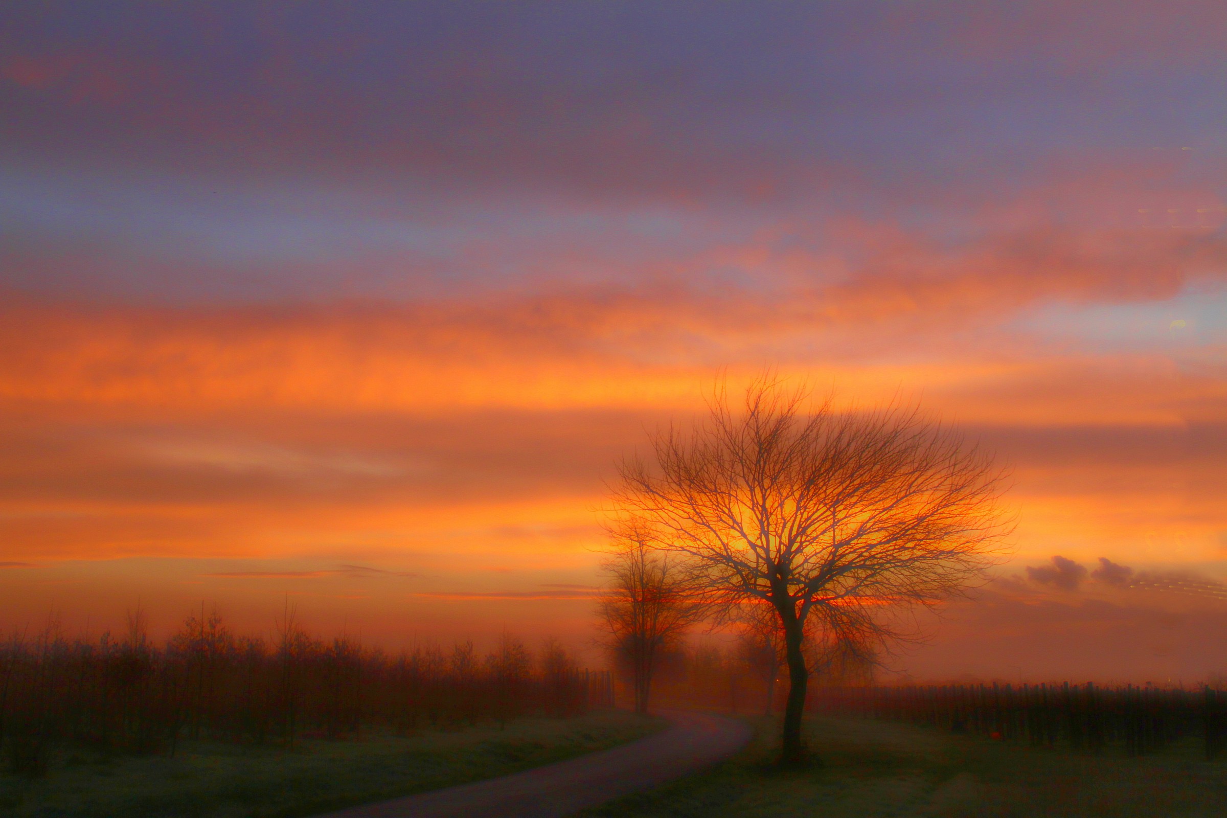 l'alba tra la foschia