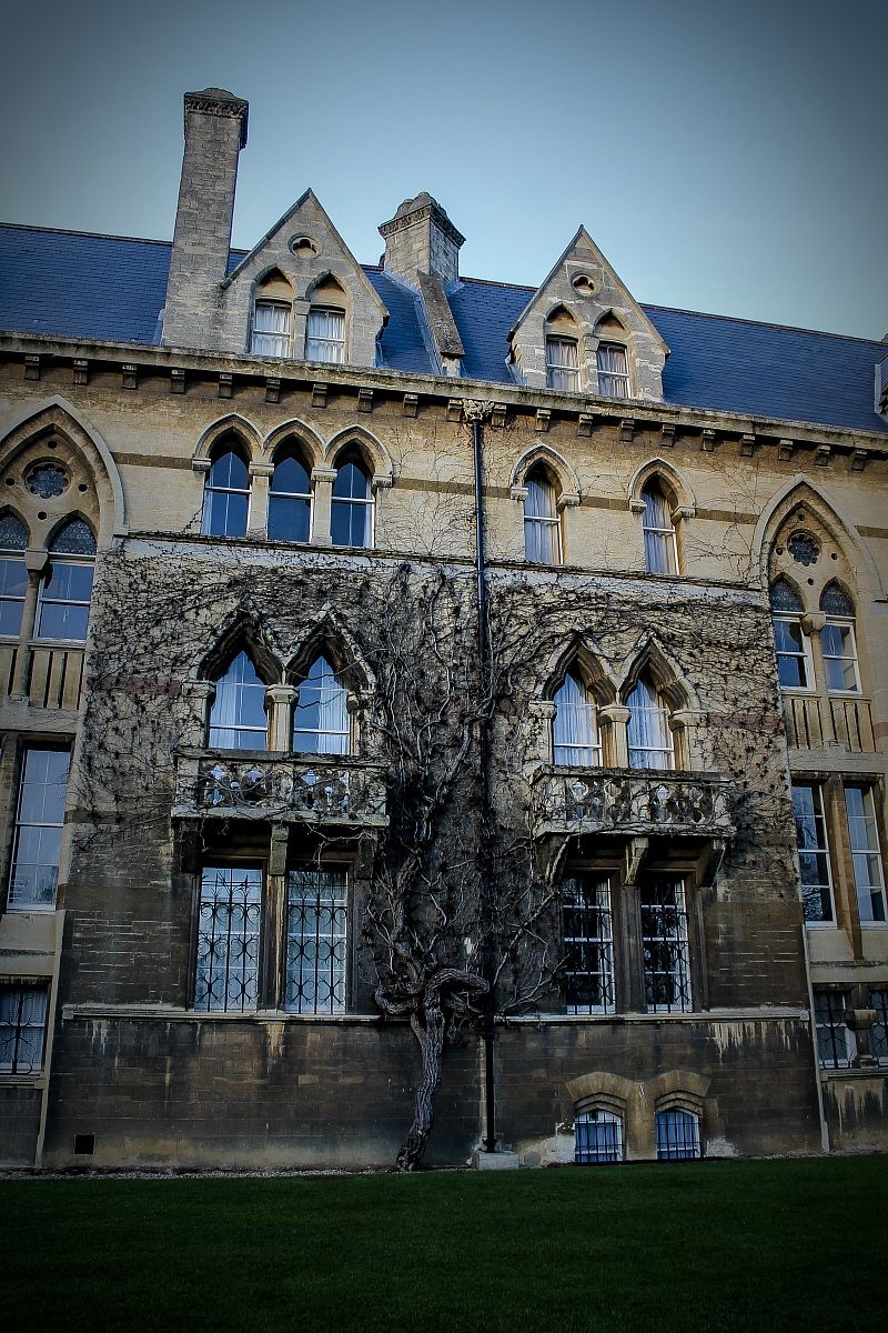 Oxford University