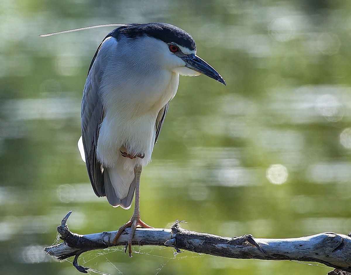 It only takes one ....