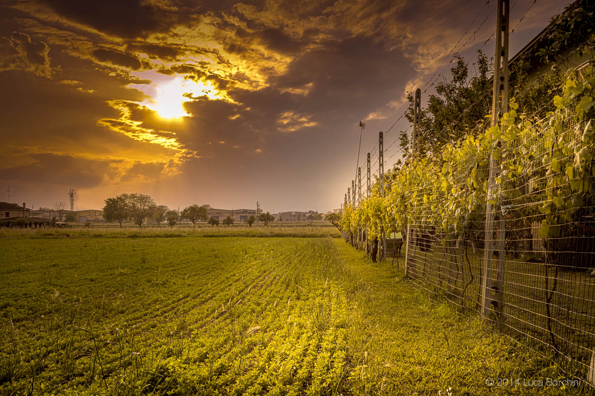Sunset in Fontevivo, Parma