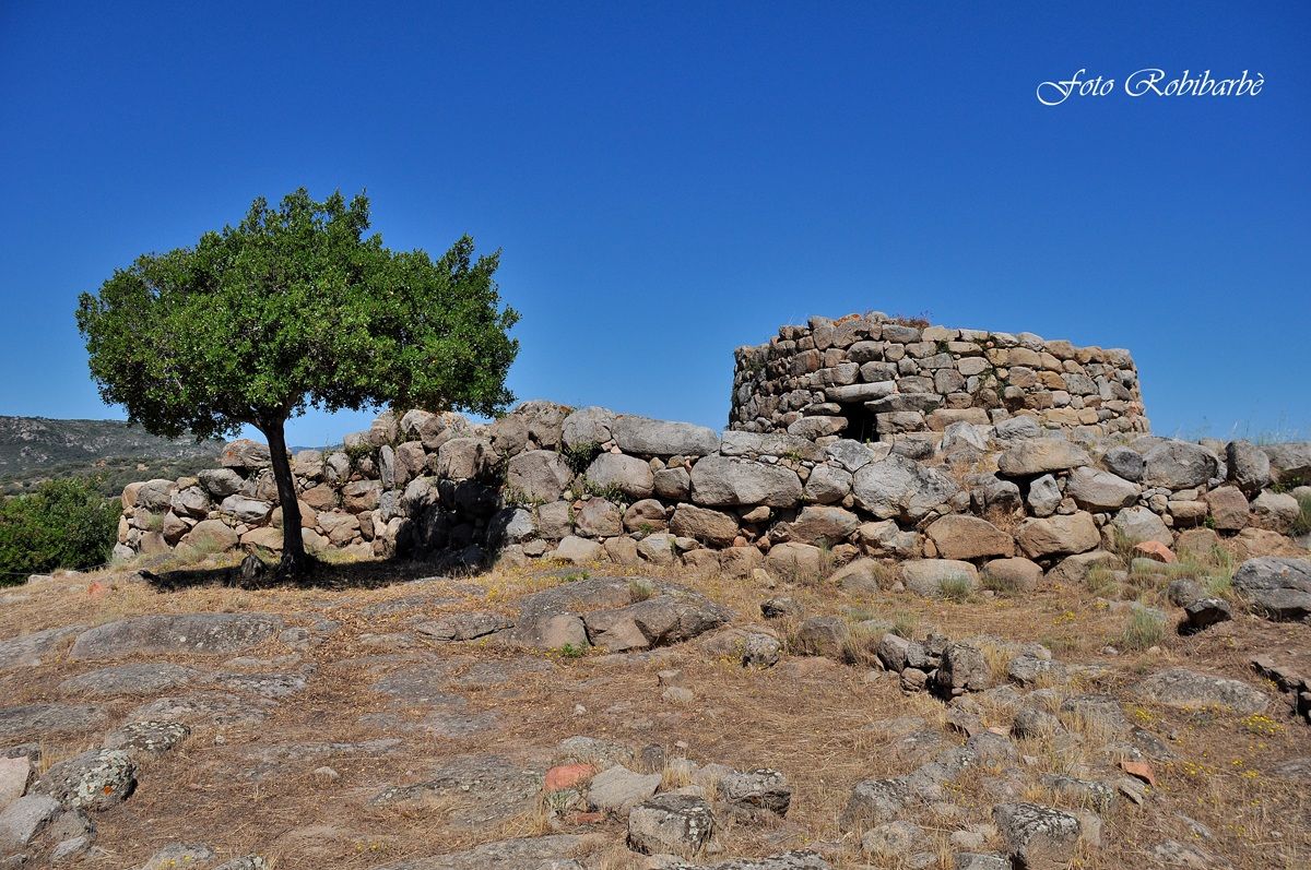 Ancient Civilization ...