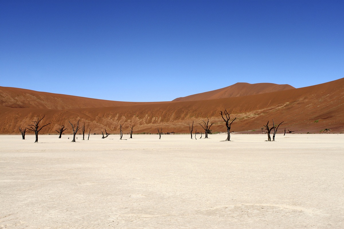 Deadvlei