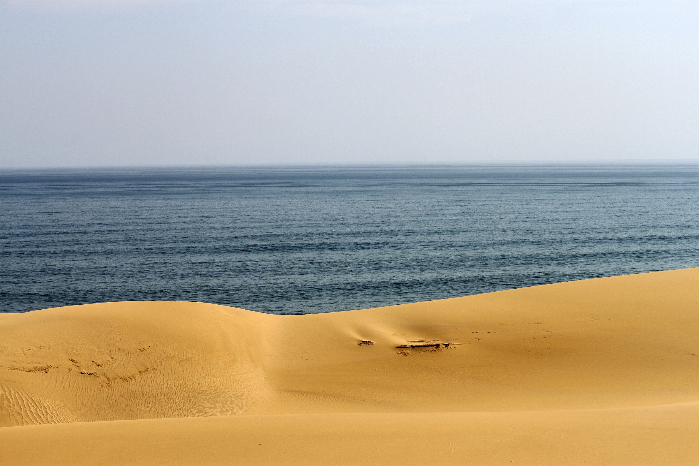 Differenze cromatiche