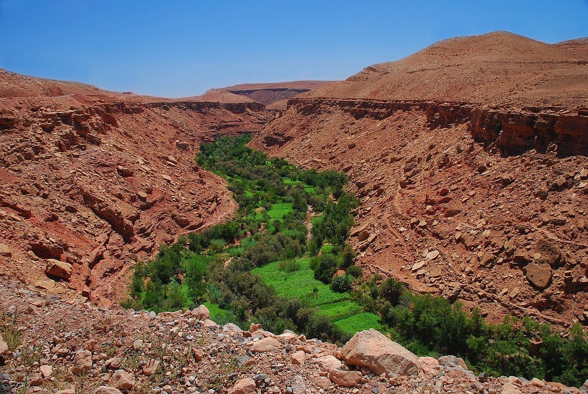 Un fiume di alberi - Marocco