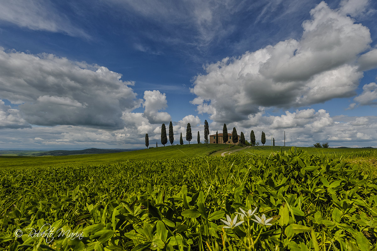 Cipressini clouds and stars ...
