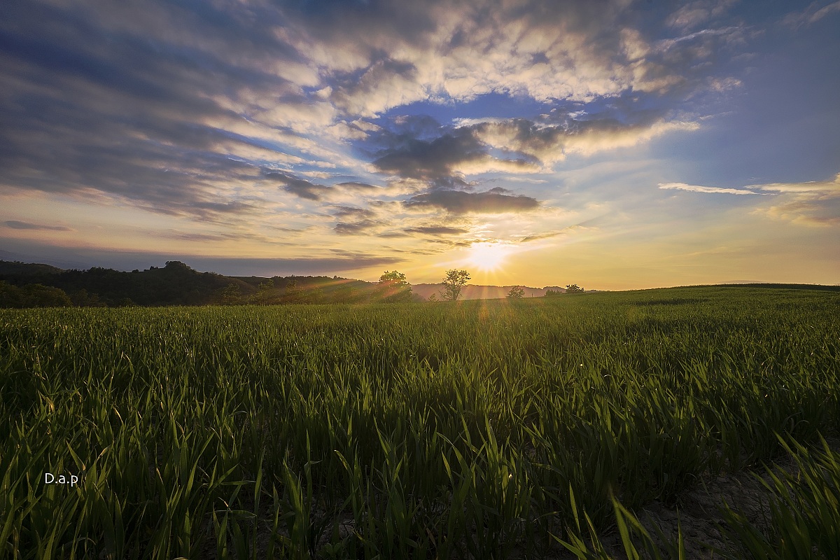Langhe : tramonto