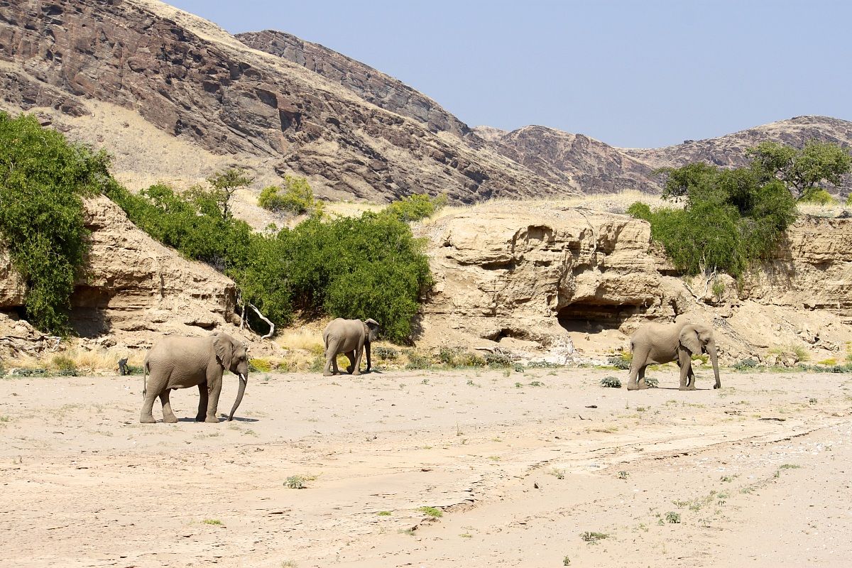Famiglia tra le rocce