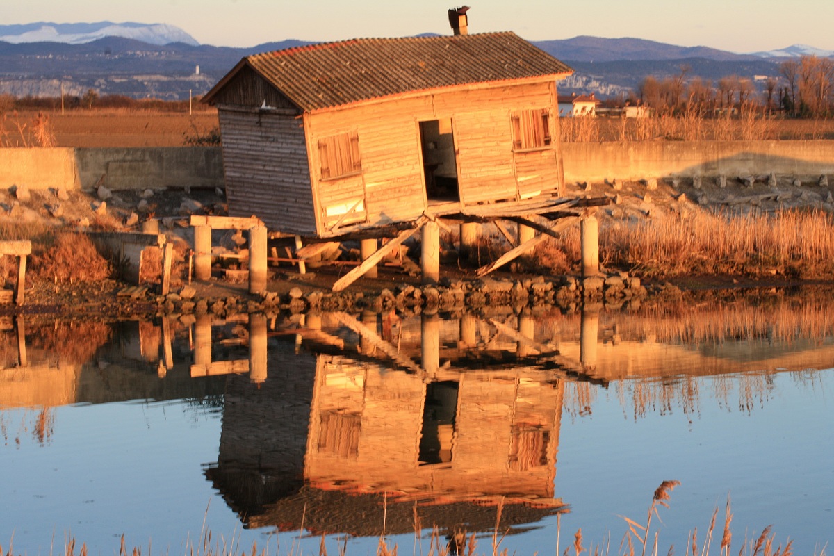 finchè morte non ci separi