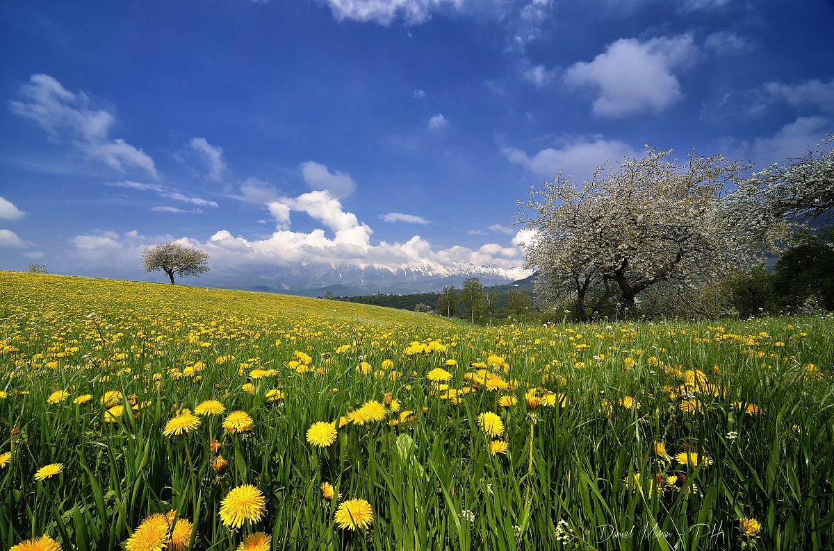 Sdraiato tra il paradiso