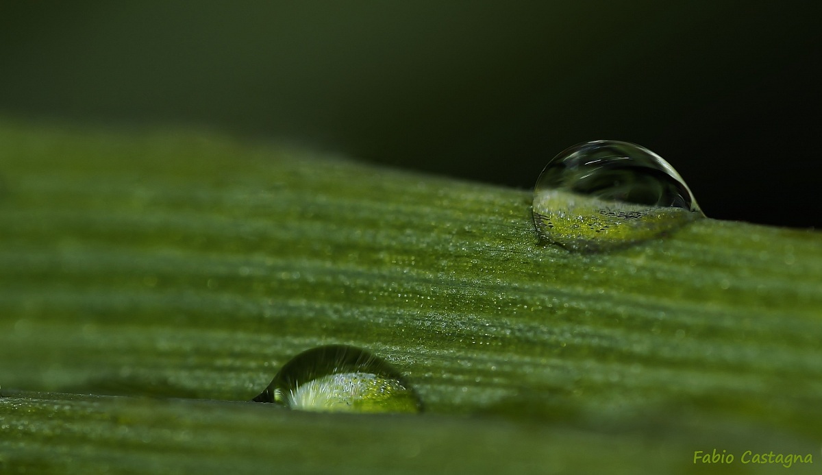 Come due gocce d'acqua