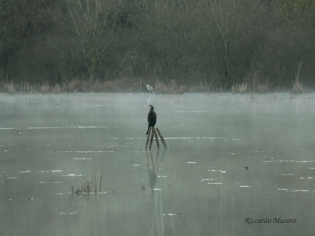 Waiting for the dawn