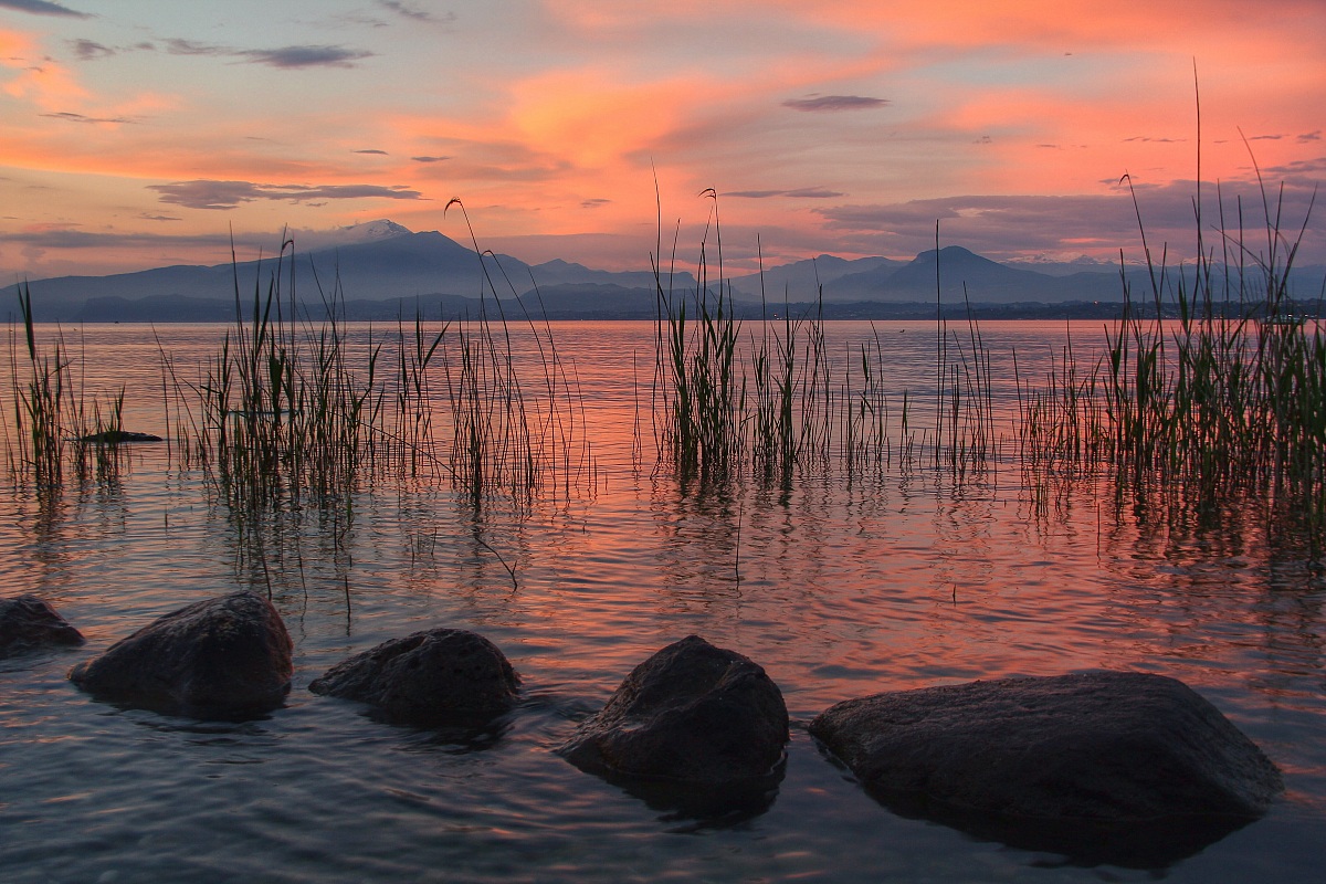 Lago di Garda rosèe
