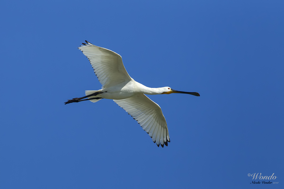 in flight
