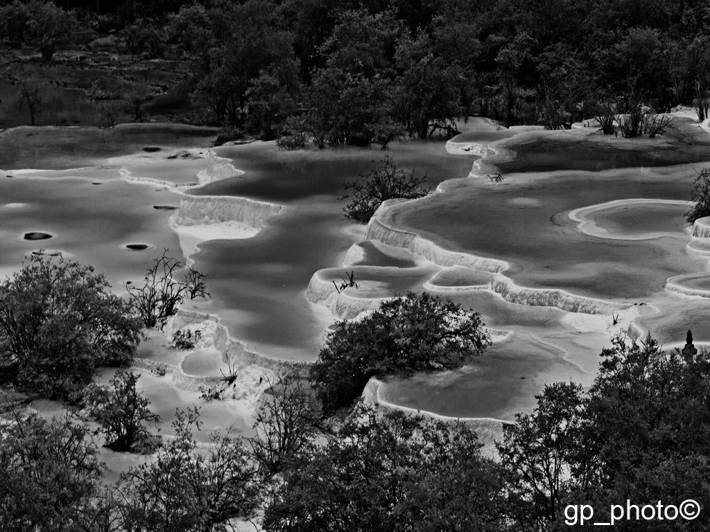 natural swimming pools