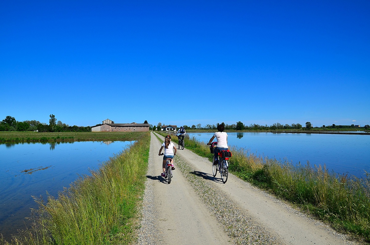 Riding through the rice paddies