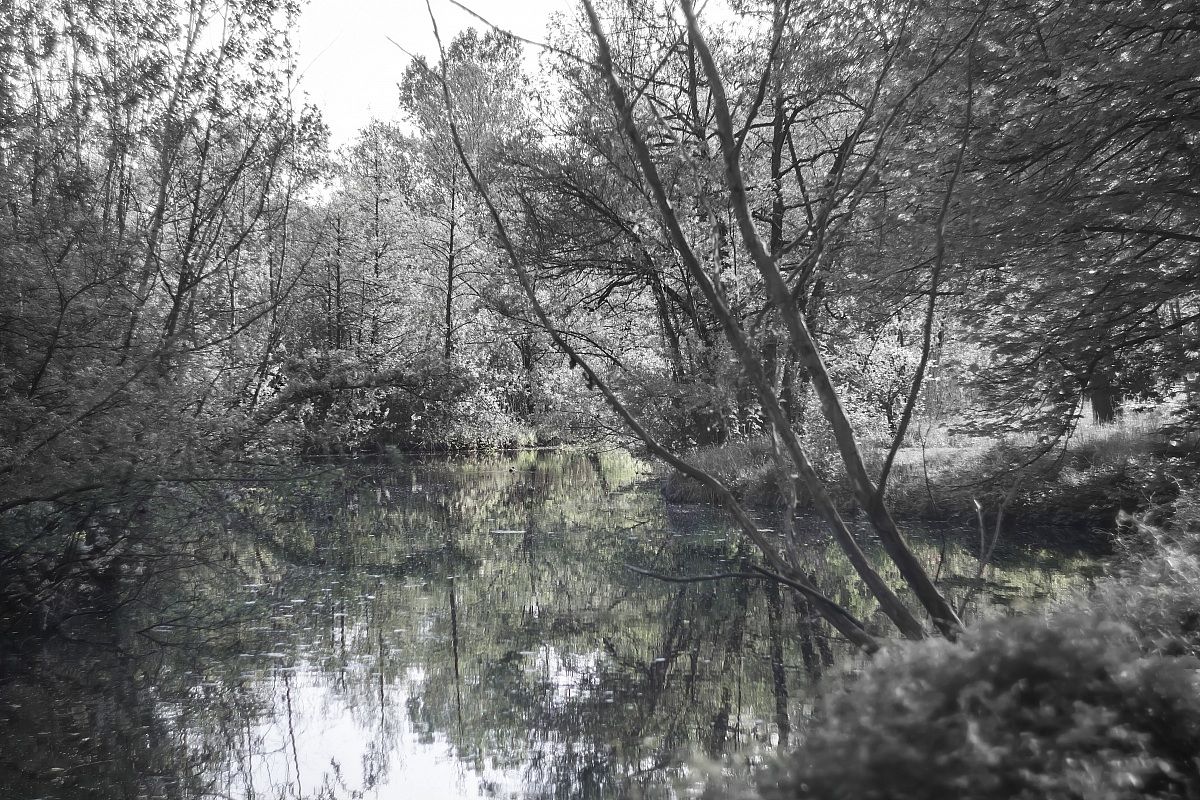 il riflesso del lago