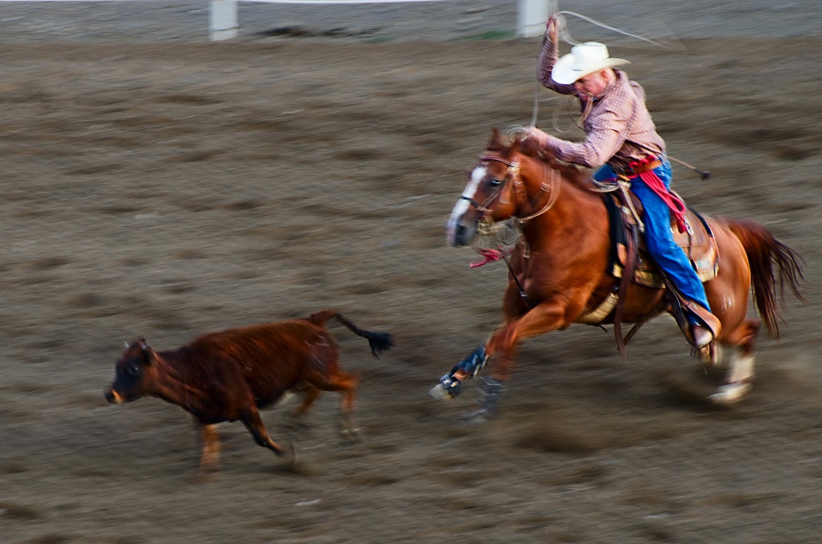 Rodeo time!