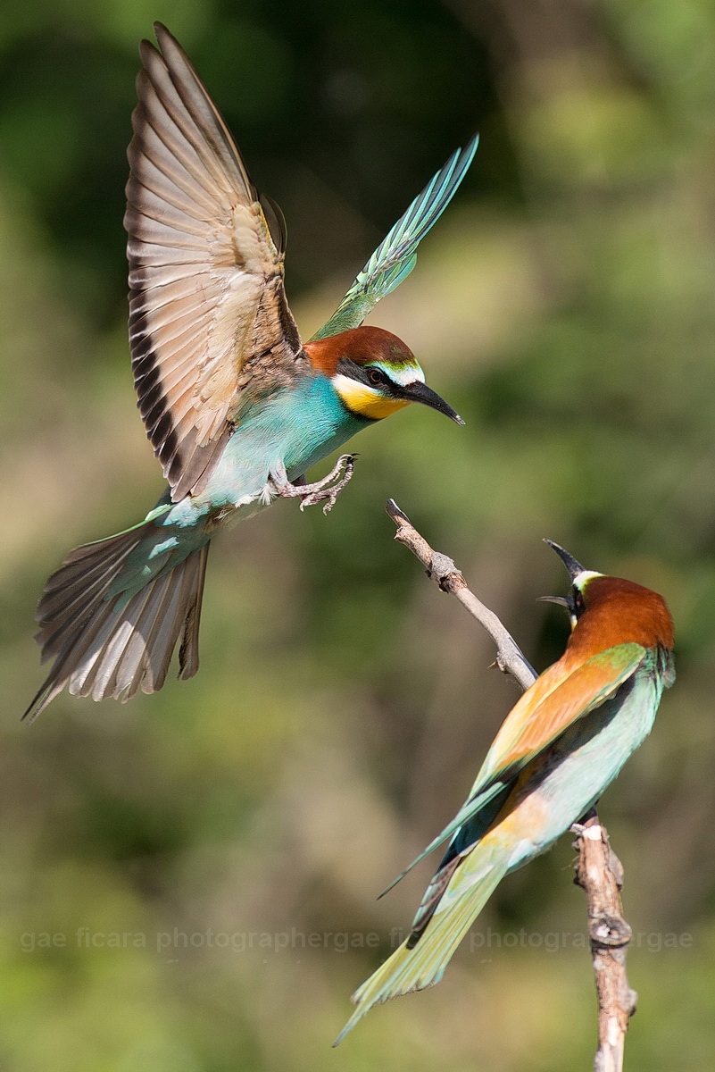 But who wants that ...