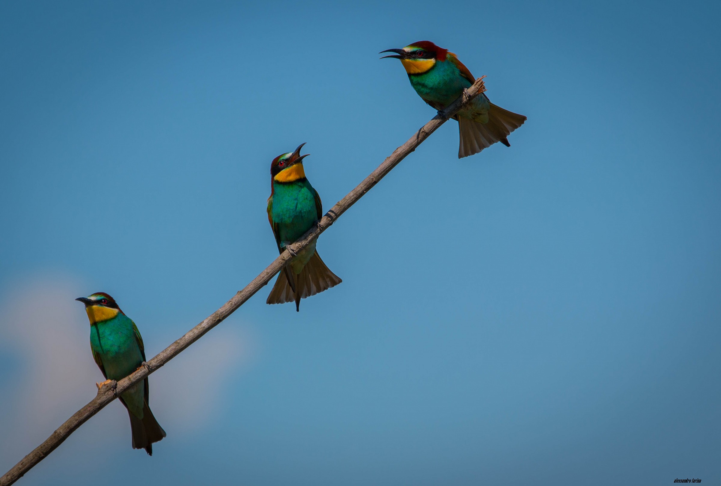 Ah ..... the love ...