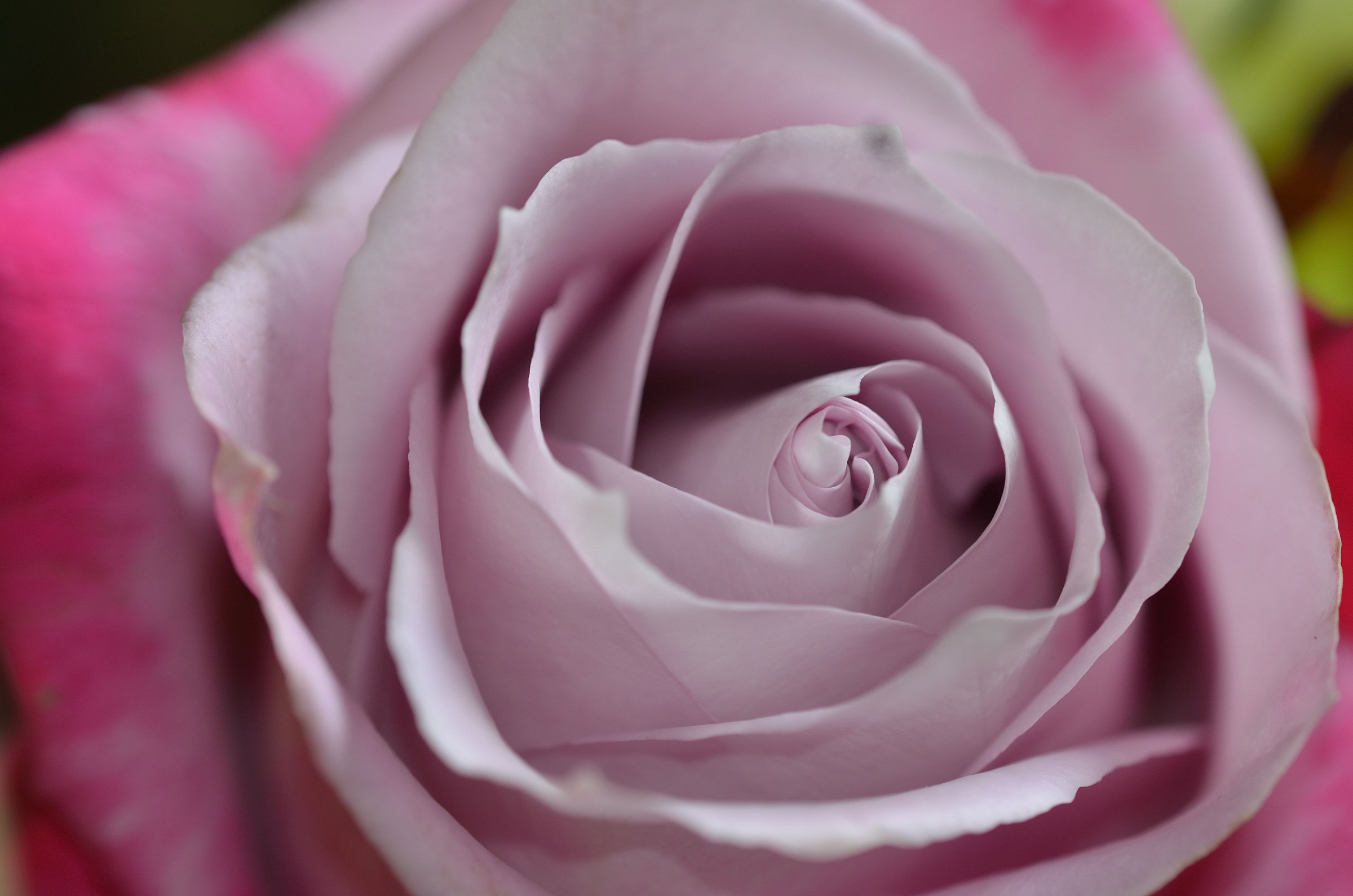 prime foto sigma 150