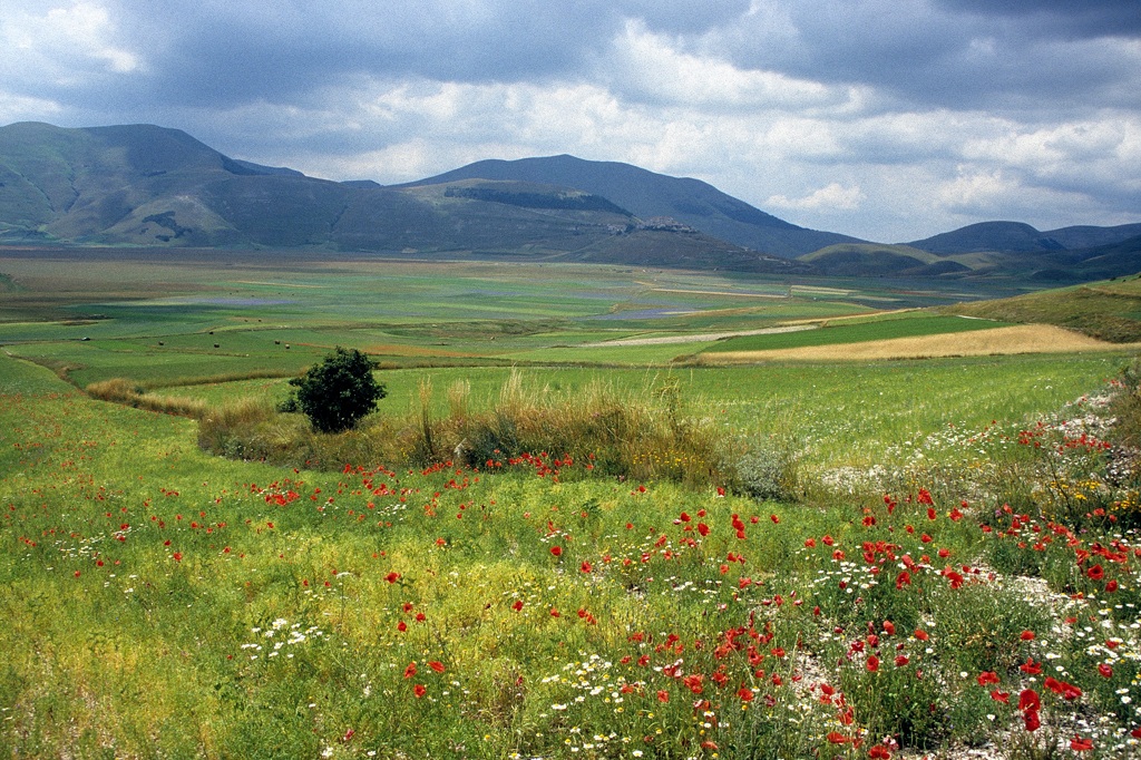 castelluccio1