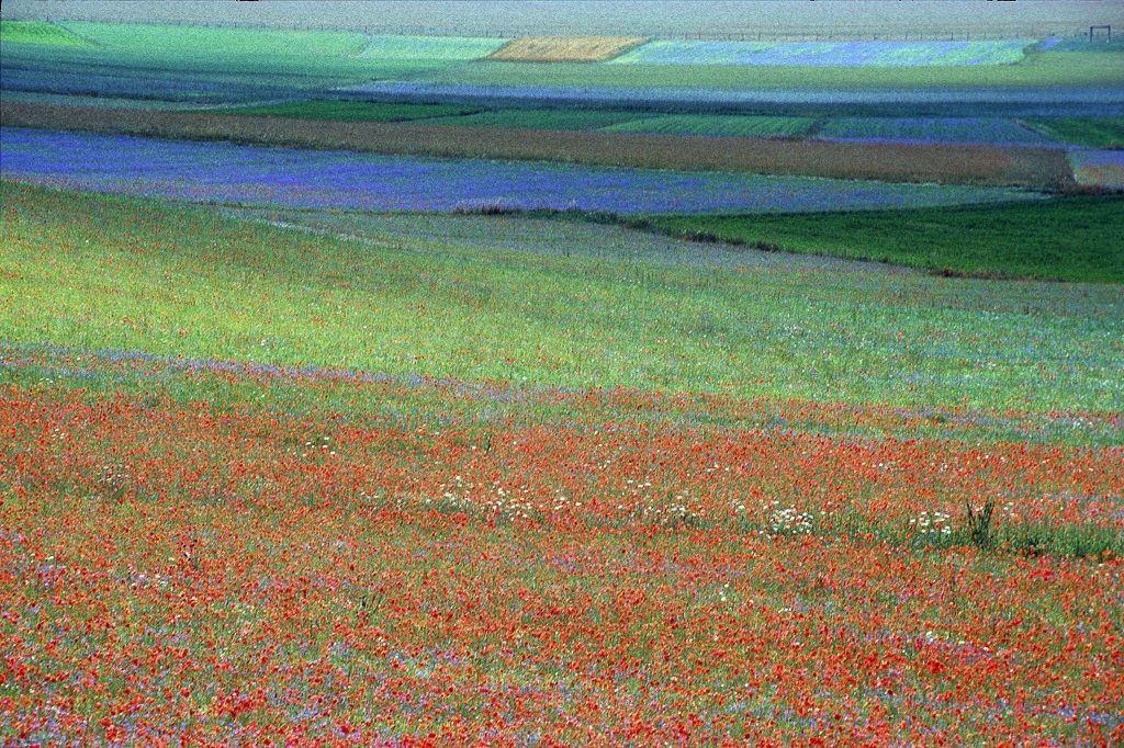 castelluccio2