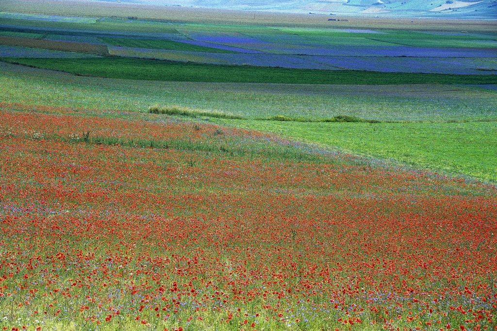 castelluccio3