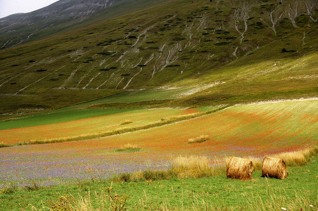 castelluccio4