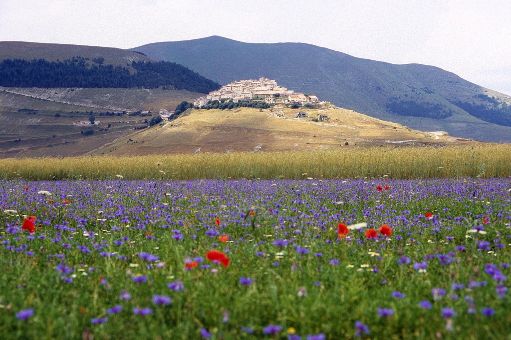castelluccio5