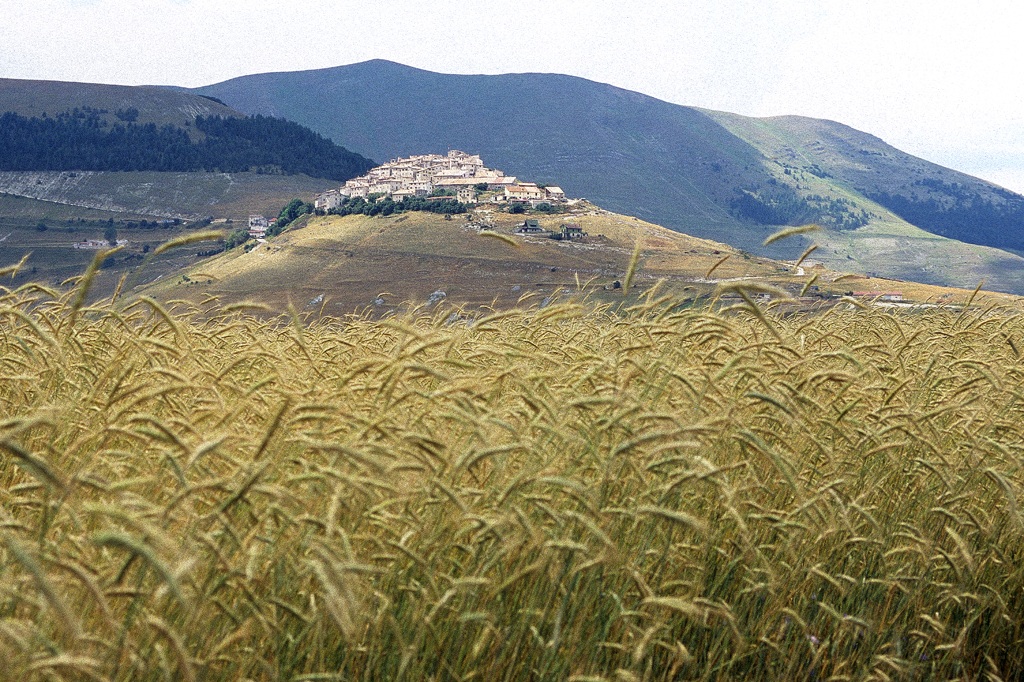 castelluccio6