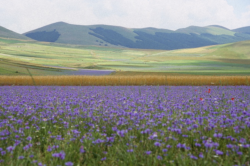 castelluccio9
