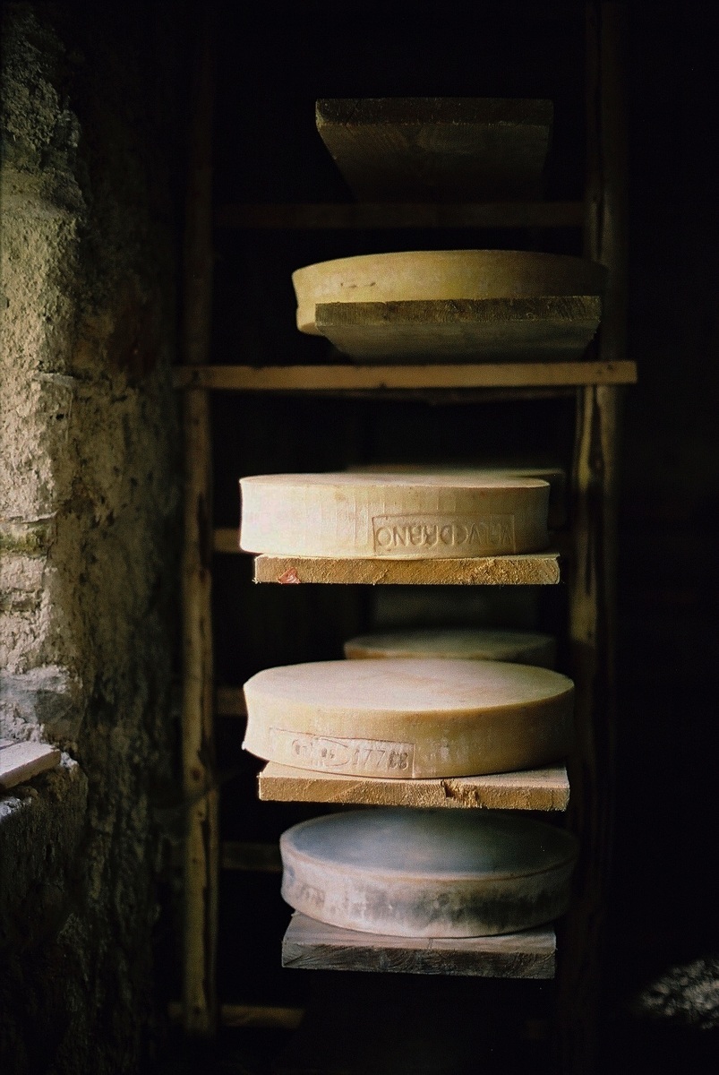 bitto in stagionatura