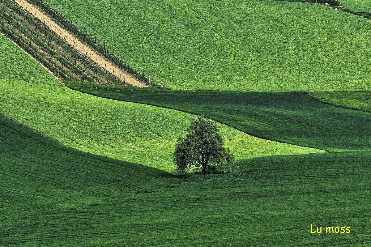 Surrounded by greenery