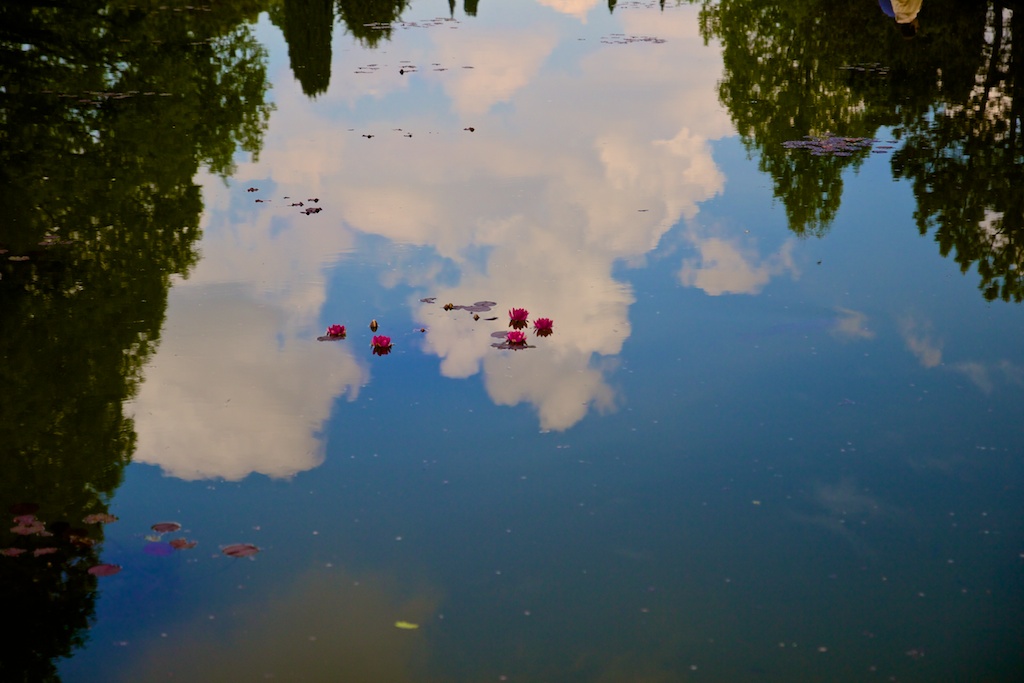 Particolare del riflesso in stagno artificiale