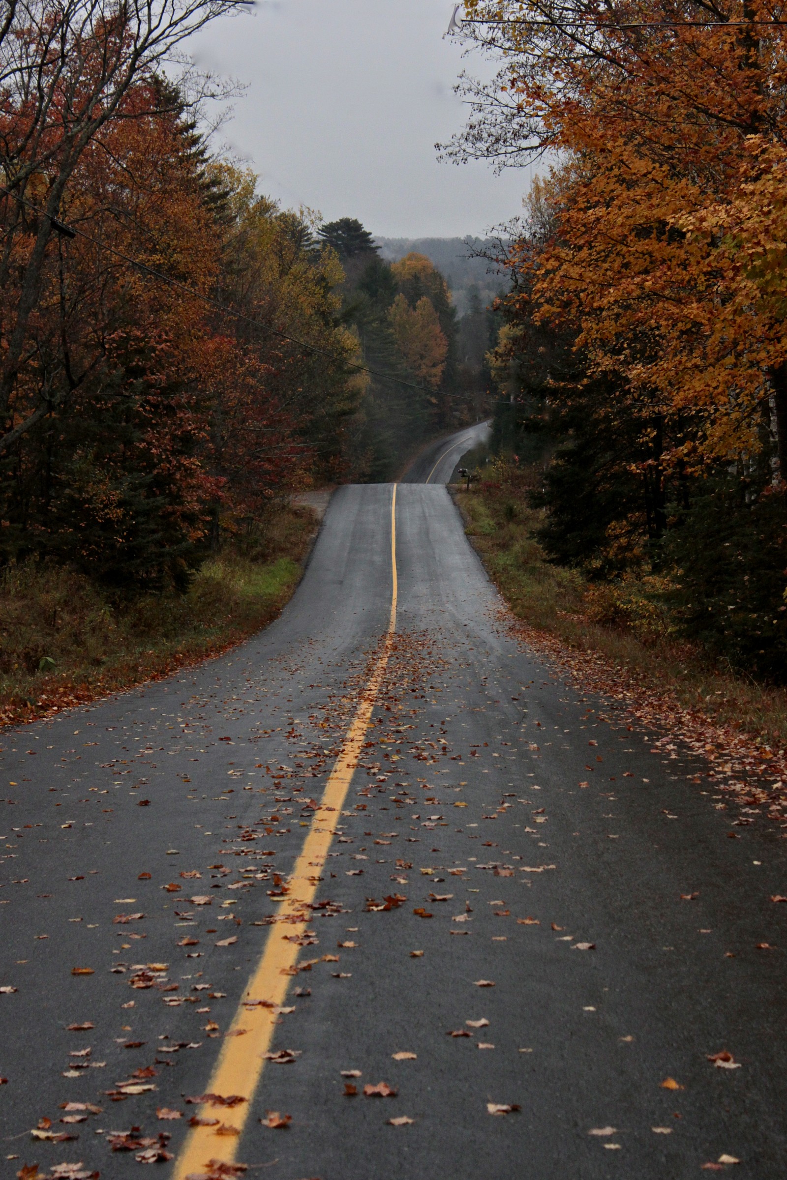 Algonquin Provincial Park, Canada