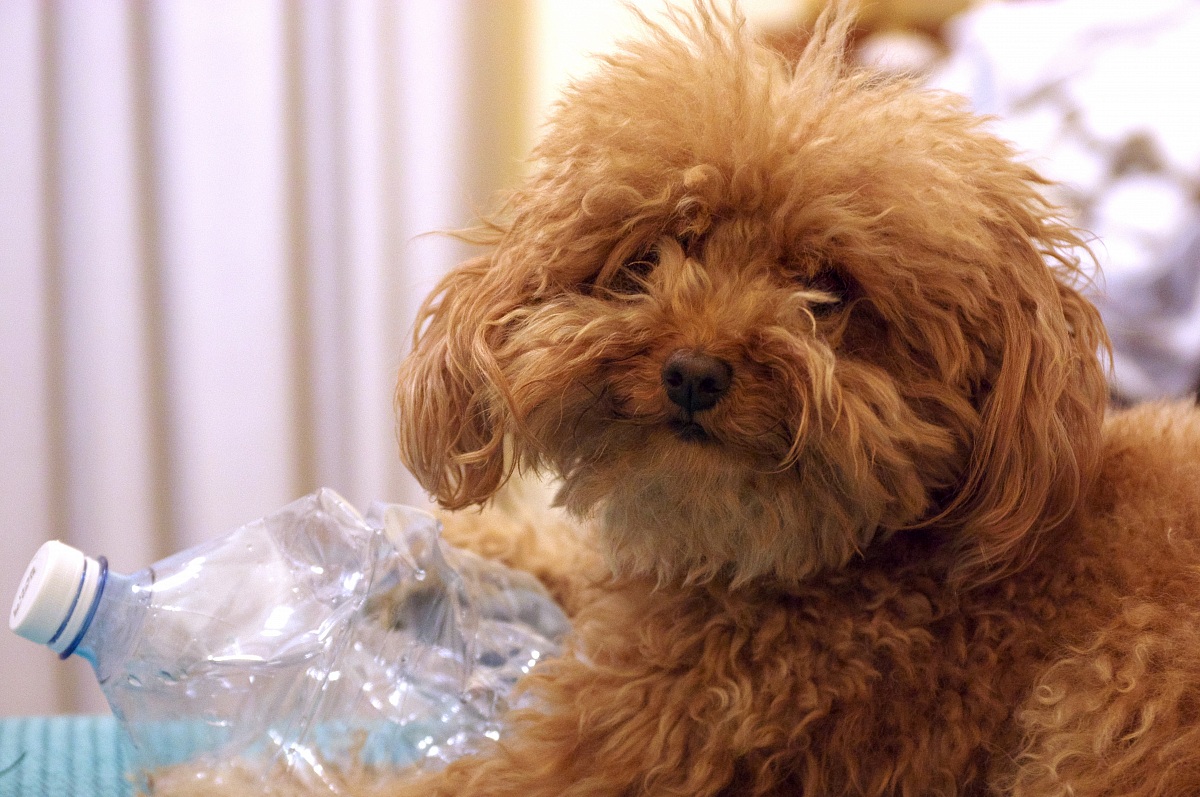 susy e il suo gioco preferito