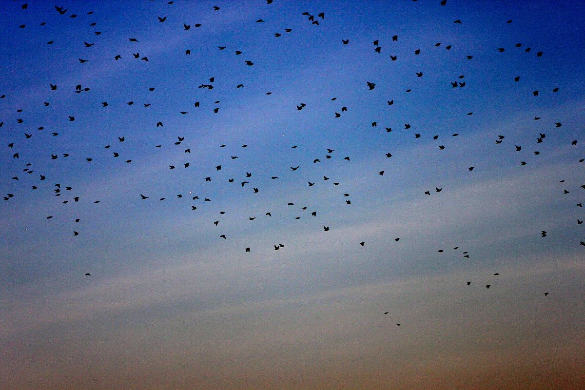 Algonquin Provincial Park, Canada