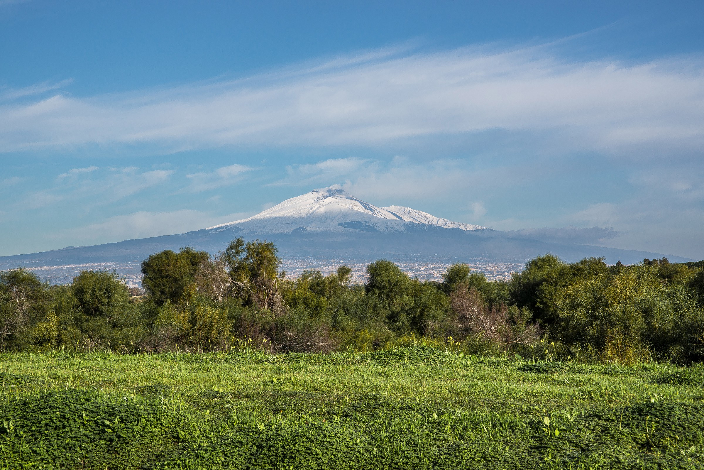riserva naturale del simeto (ct)