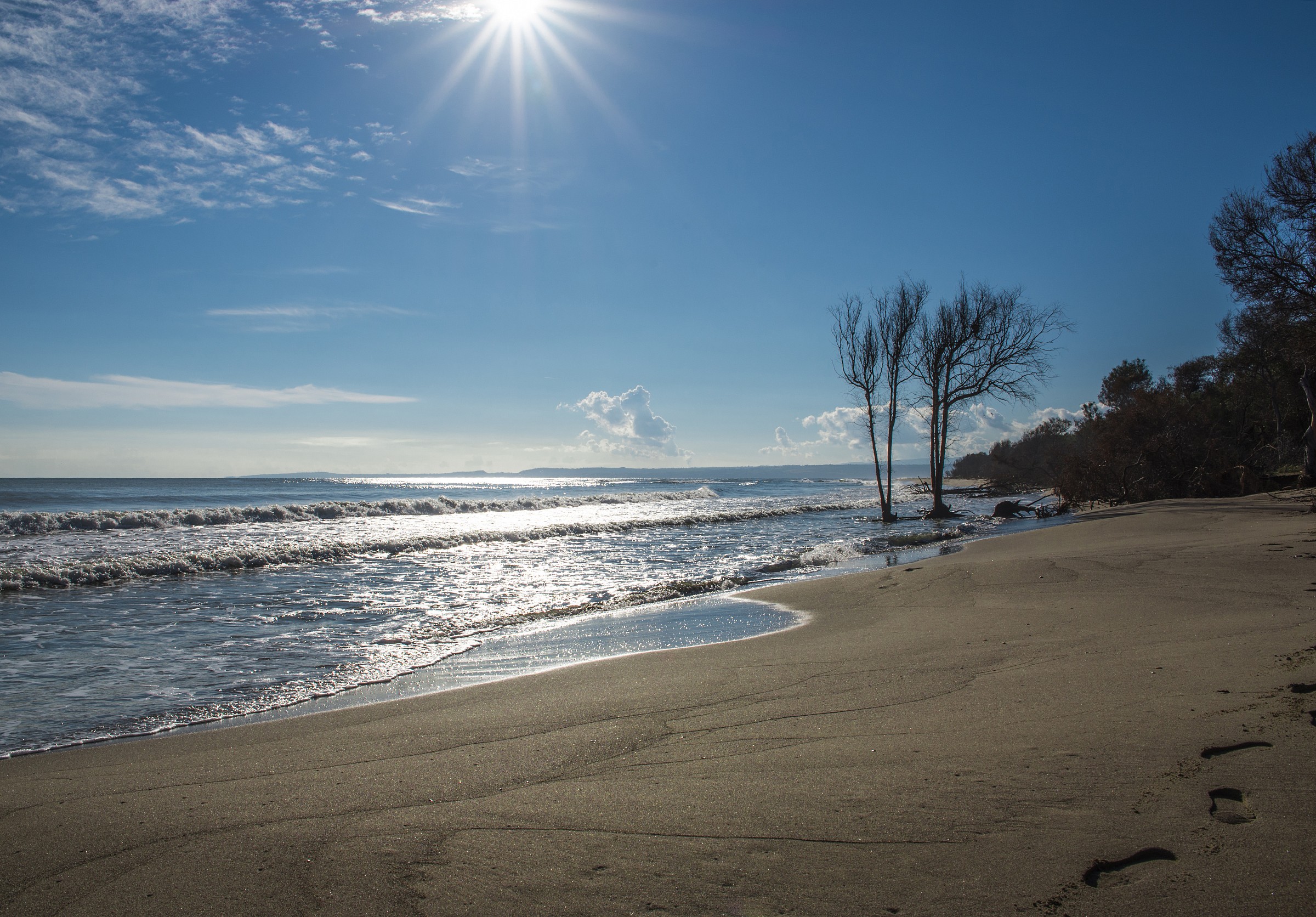 riserva naturale del simeto (ct)